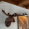 RobertWood.Art Moose